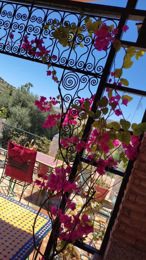 Riad Scalia Traditional Guesthouse Fes Morocco エクステリア 写真